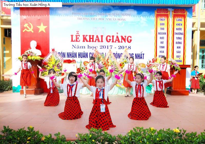Trường Tiểu học Xuân Hồng A