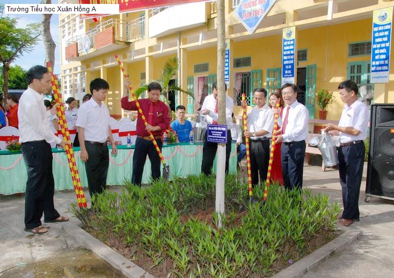 Trường Tiểu học Xuân Hồng A