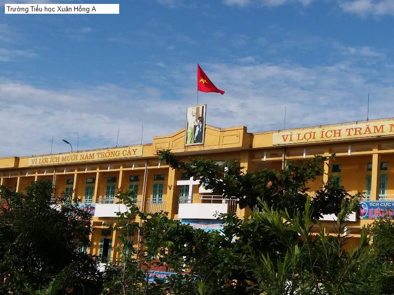 Trường Tiểu học Xuân Hồng A
