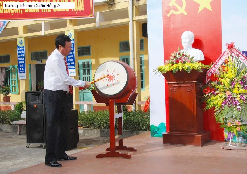 Trường Tiểu học Xuân Hồng A