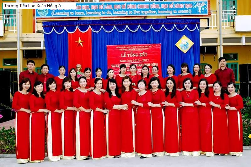 Trường Tiểu học Xuân Hồng A