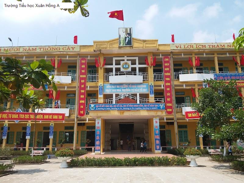 Trường Tiểu học Xuân Hồng A