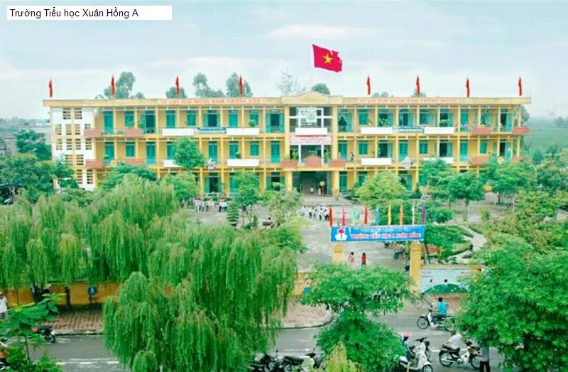 Trường Tiểu học Xuân Hồng A