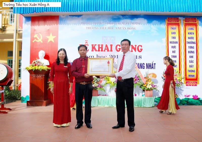Trường Tiểu học Xuân Hồng A