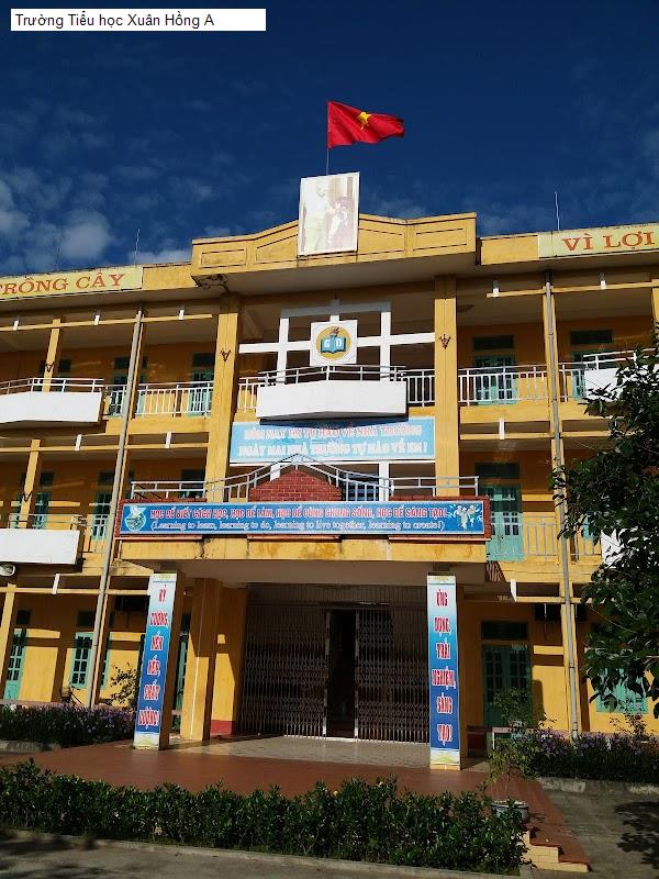 Trường Tiểu học Xuân Hồng A